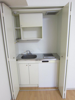 Kitchen. When not in use it hides close the door.