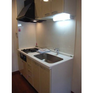 Kitchen. The room is a picture of the same type.