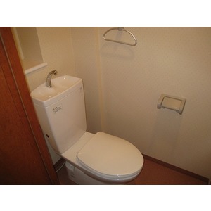 Toilet. The room is a picture of the same type.