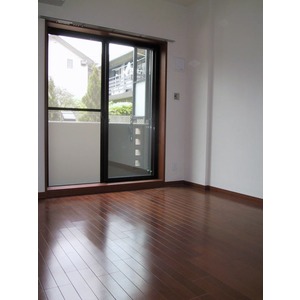 Living and room. The room is a picture of the same type.