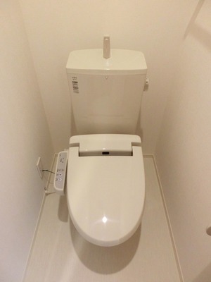 Toilet. Cleaning function toilet