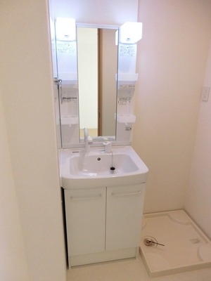 Washroom. Independent wash basin