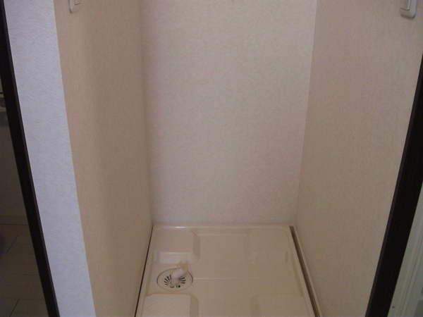 Other introspection. Indoor Laundry Storage