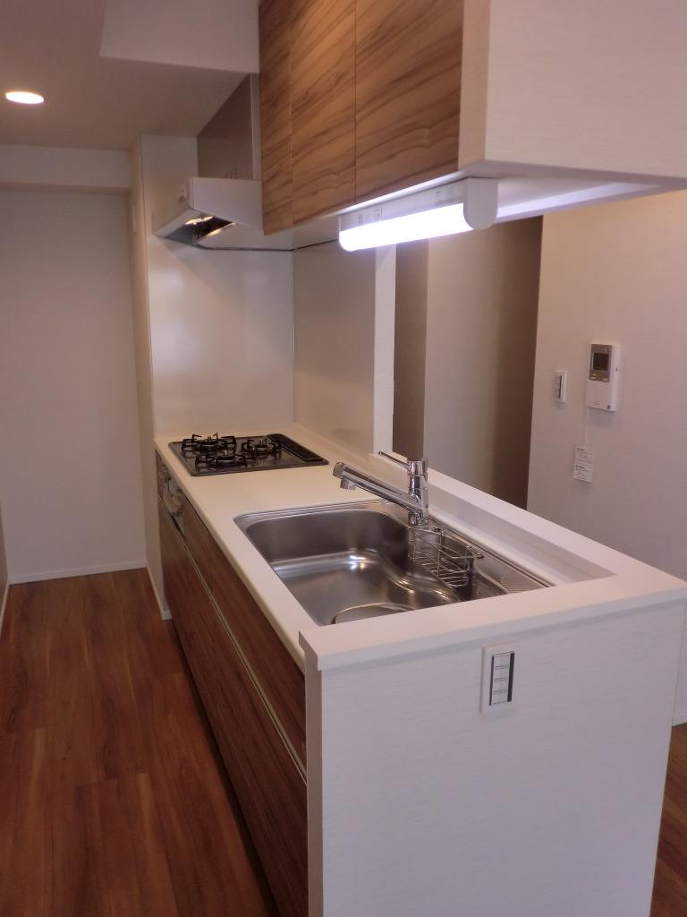 Kitchen. Indoor (11 May 2013) Shooting