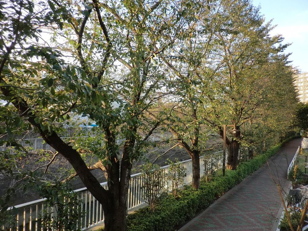 View photos from the dwelling unit. View from the balcony