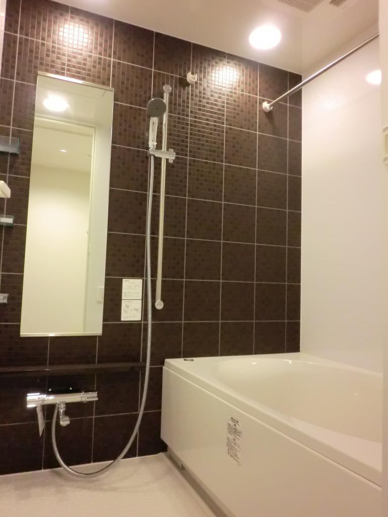 Bathroom. Indoor (11 May 2013) Shooting