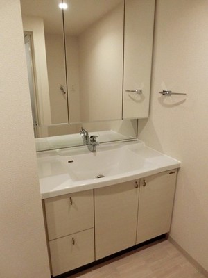 Washroom. Independent wash basin