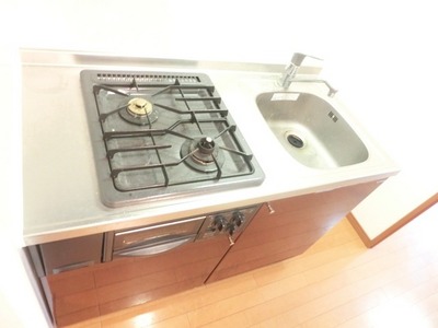 Kitchen. Gas two-burner system Kitchen