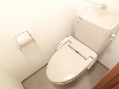 Toilet. Cleaning function toilet