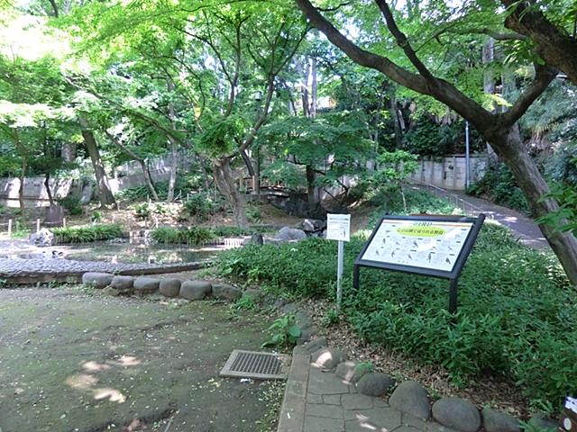 Other. Shimoochiai wild birds in the forest park
