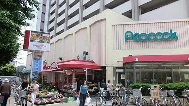 Other. Daimarupikokku