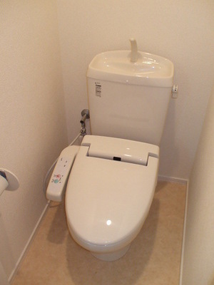 Toilet. Bidet with toilet