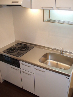 Kitchen. Gas two-burner system Kitchen