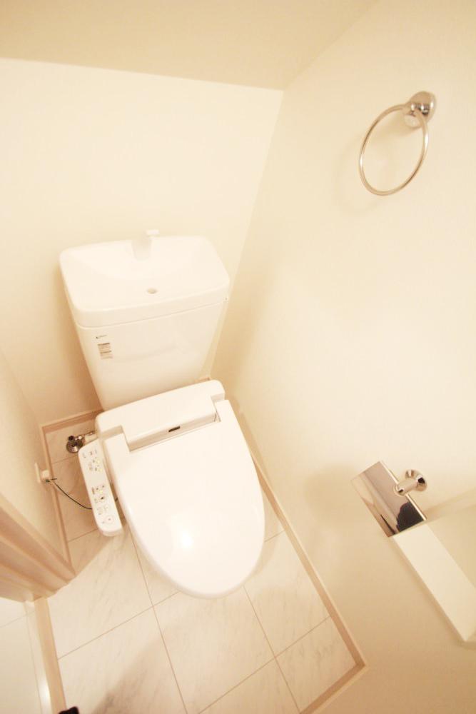 Toilet. Toilet with cleanliness.