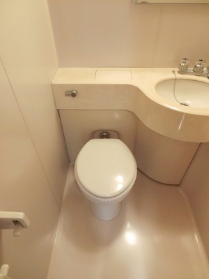 Toilet. Western-style toilet