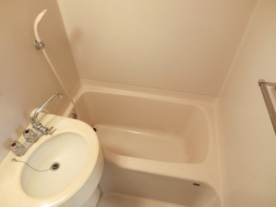 Bath. Hotel-like unit bus