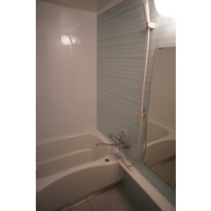 Bath. The room is a picture of the same type.