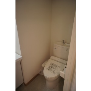 Toilet. The room is a picture of the same type.