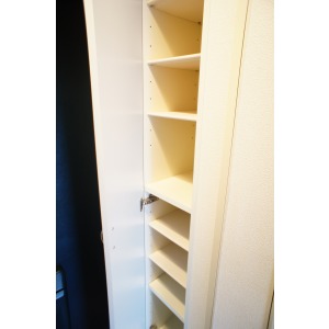 Entrance. The room is a picture of the same type.