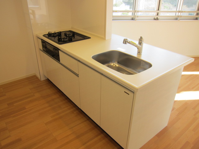 Kitchen. Peninsula kitchen