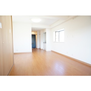 Living and room. The room is a picture of the same type. 