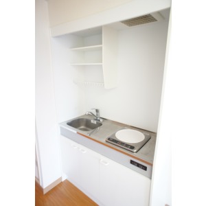 Kitchen. The room is a picture of the same type. 