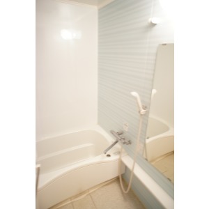 Bath. The room is a picture of the same type. 