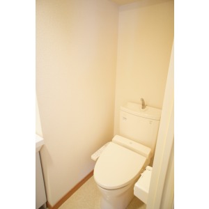 Toilet. The room is a picture of the same type. 