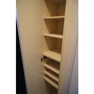 Entrance. The room is a picture of the same type. 