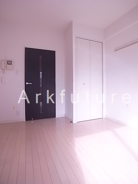 Living and room. Clean room! 