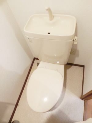 Toilet. Spacious toilet
