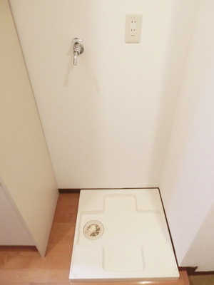 Other. There is also a washing machine inside the room