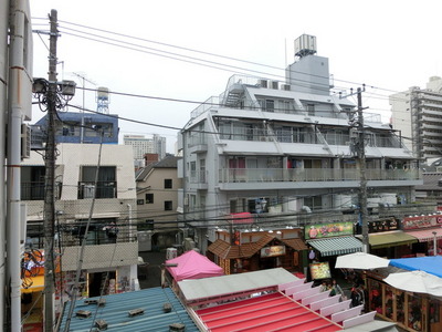 View. Landscape from the living room