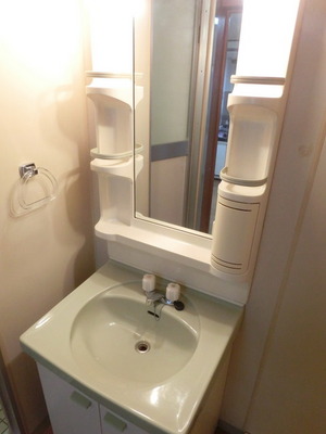 Washroom. Independent wash basin