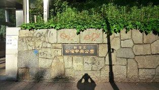 Streets around. ~ Enhancement of the surrounding environment ~  Shinjuku Chuo Park  ◆ 2 line 3 station available ◆ Shinjuku Central Park close ◆ Supermarket ・ convenience store ・ Drugstore within 5 minutes ◆