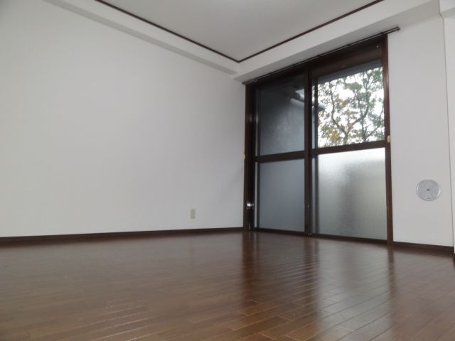 Living and room. Bright living room