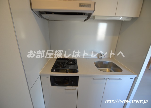 Kitchen. It is a reference photograph of the same type of the 10th floor of the same building.