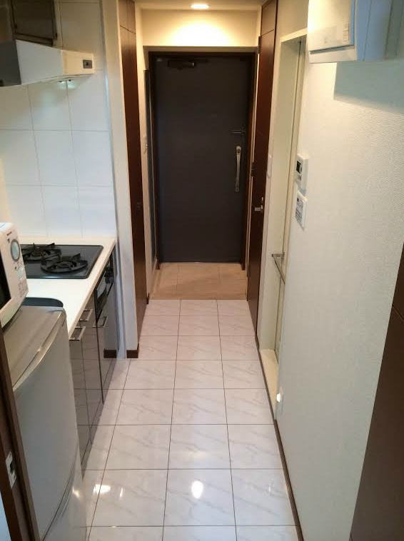 Entrance. Beautiful room.