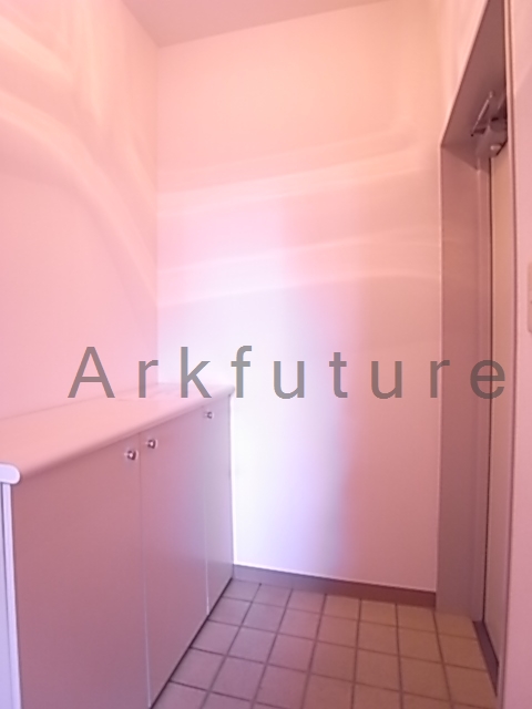 Entrance. There is also a shoe box!