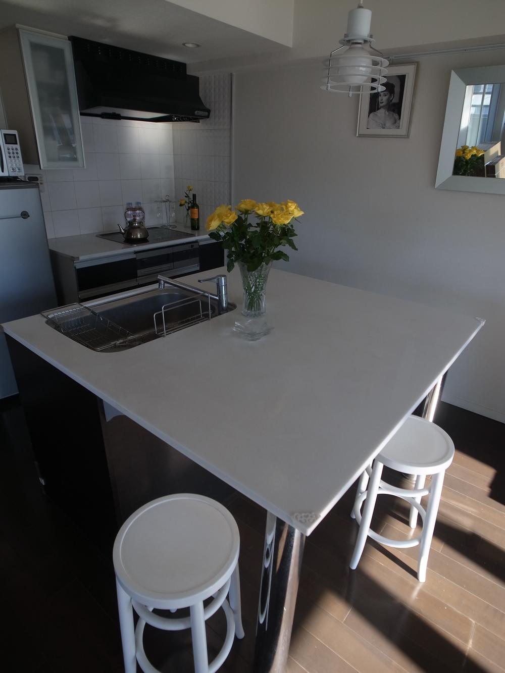 Kitchen. Indoor (12 May 2013) Shooting Easy-to-use I land kitchen