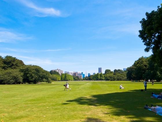 park. 550m downtown oasis to Shinjuku Gyoen park "Shinjuku Gyoen park" ~ The spring is a beautiful row of cherry blossom trees ~