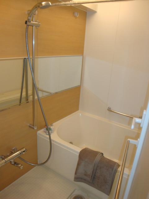 Bathroom. Indoor (January 2014) Shooting