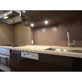 Kitchen. Shoot the same type 31 floor of the room. Specifications may be different.