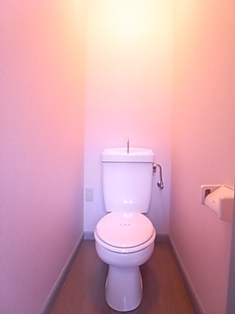 Toilet. Toilet with cleanliness