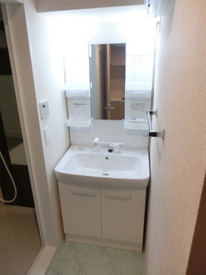 Washroom. Independent wash basin (Daiwa House construction cases)