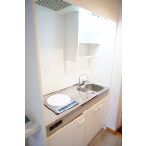 Kitchen. The room is a picture of the same type.