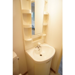 Washroom. The room is a picture of the same type.