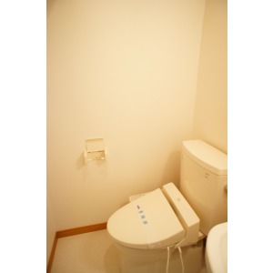 Toilet. The room is a picture of the same type.