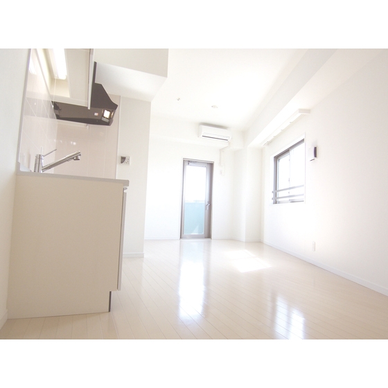 Living and room. Pets are allowed up to two animals ☆