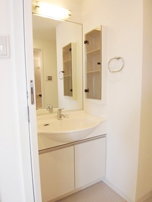 Washroom. Separate vanity with Medicine box